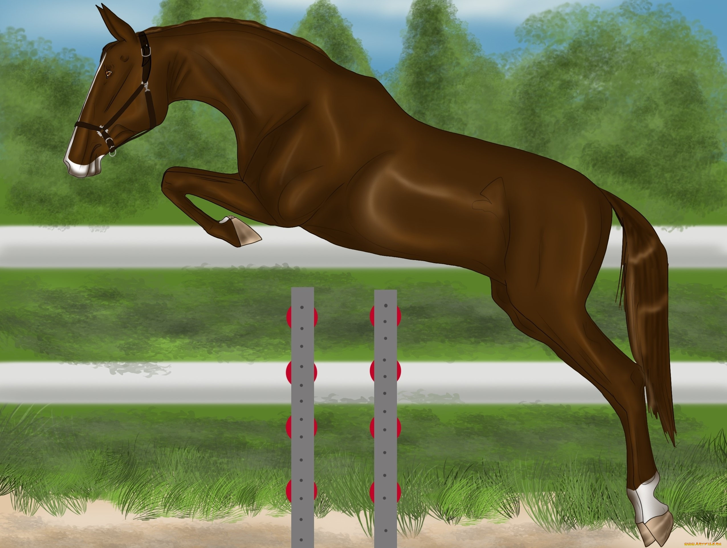 6 где конь. Лошадь прыгает. Лошадь прыгает рисунок. Лошадь в прыжке. Картинки лошадей карандашом.